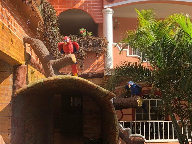 Hotel Residencia Del Sol Ciudad Guatemala Eksteriør billede