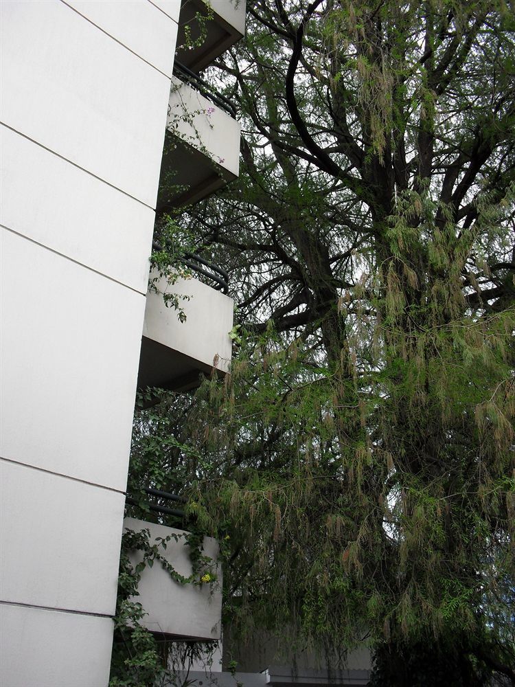 Hotel Residencia Del Sol Ciudad Guatemala Eksteriør billede